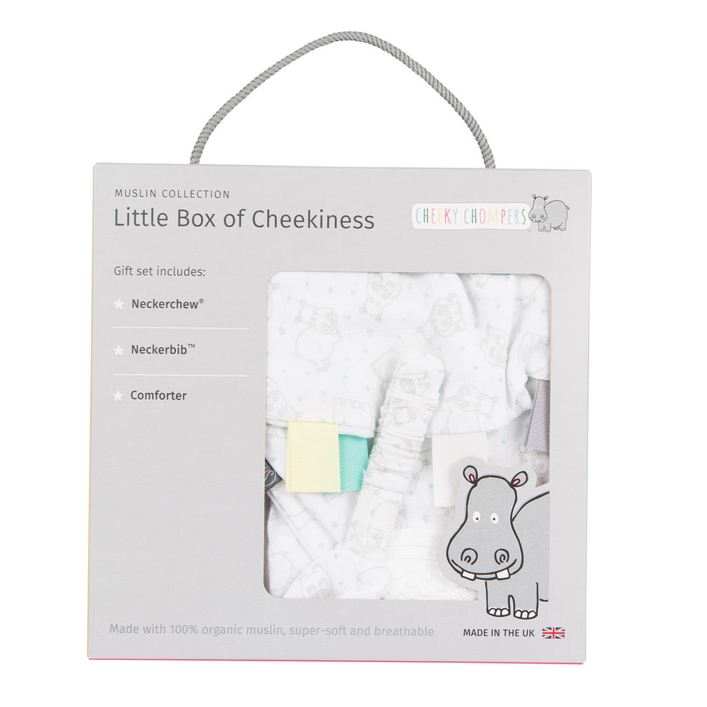 Hippo Little Box of Cheekiness - Kiddymania Rag Dolls